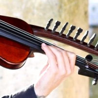 Indian Violin - Sympathetic strings violin